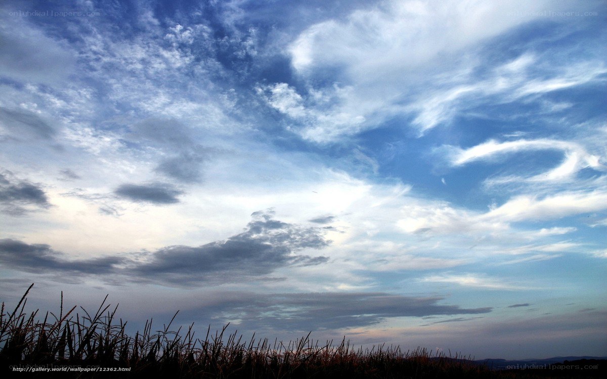 Sky with Clouds and Grass