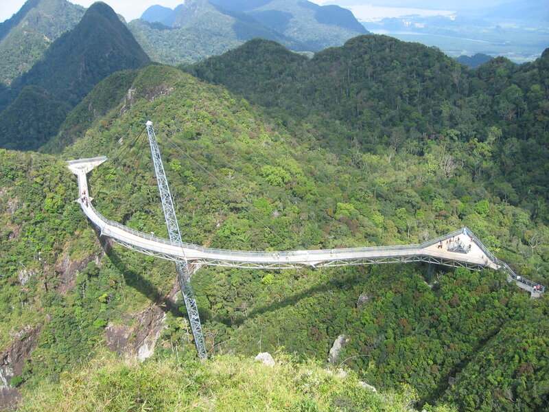 Skybridge over rainforest