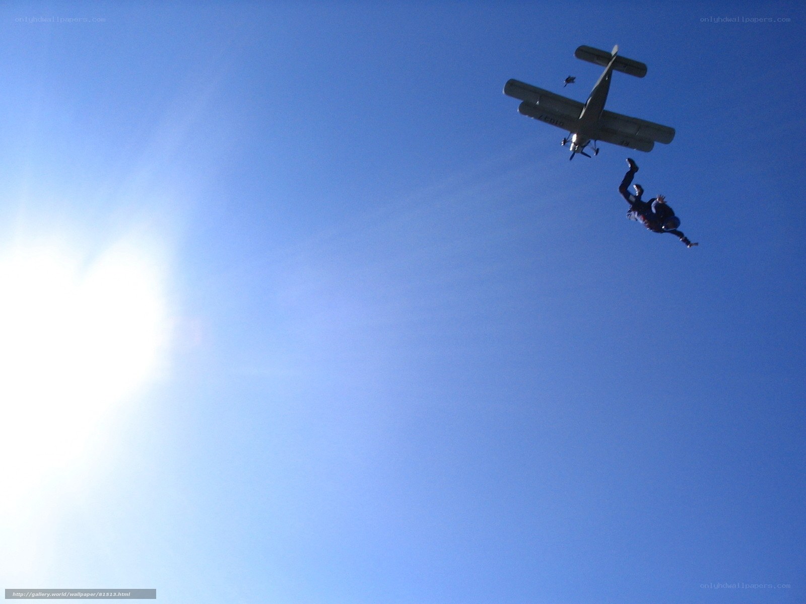 Skydiver jumping from plane