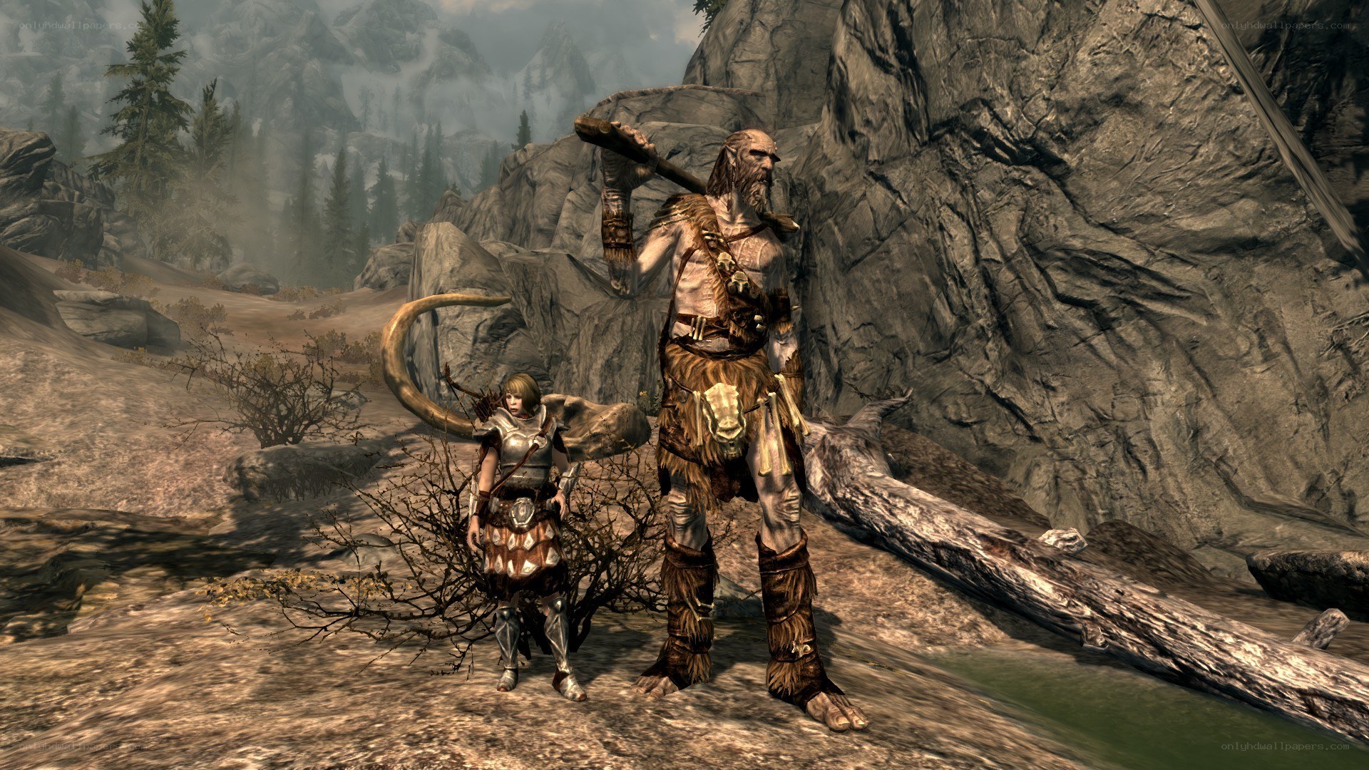 Skyrim character scene