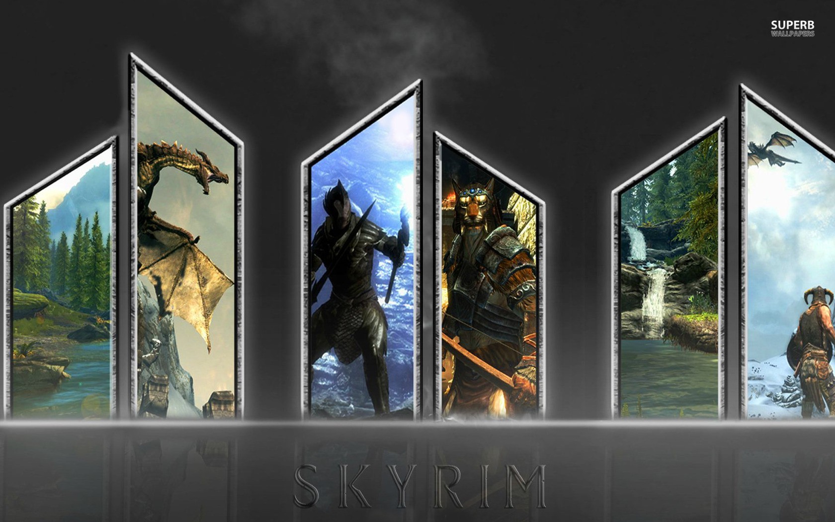 Skyrim game scenes collage
