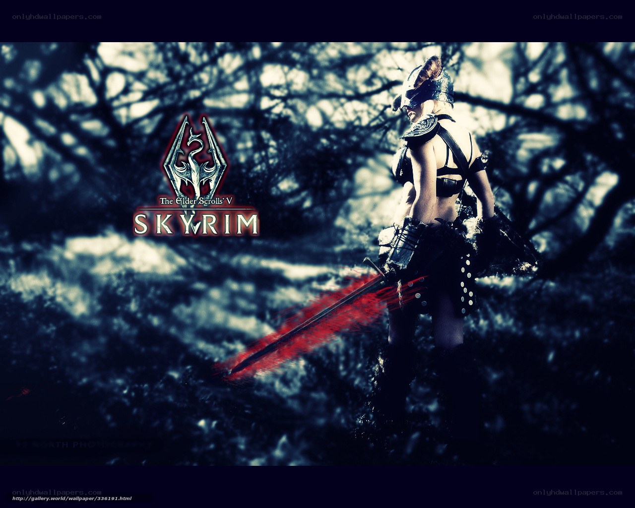 Skyrim warrior in forest