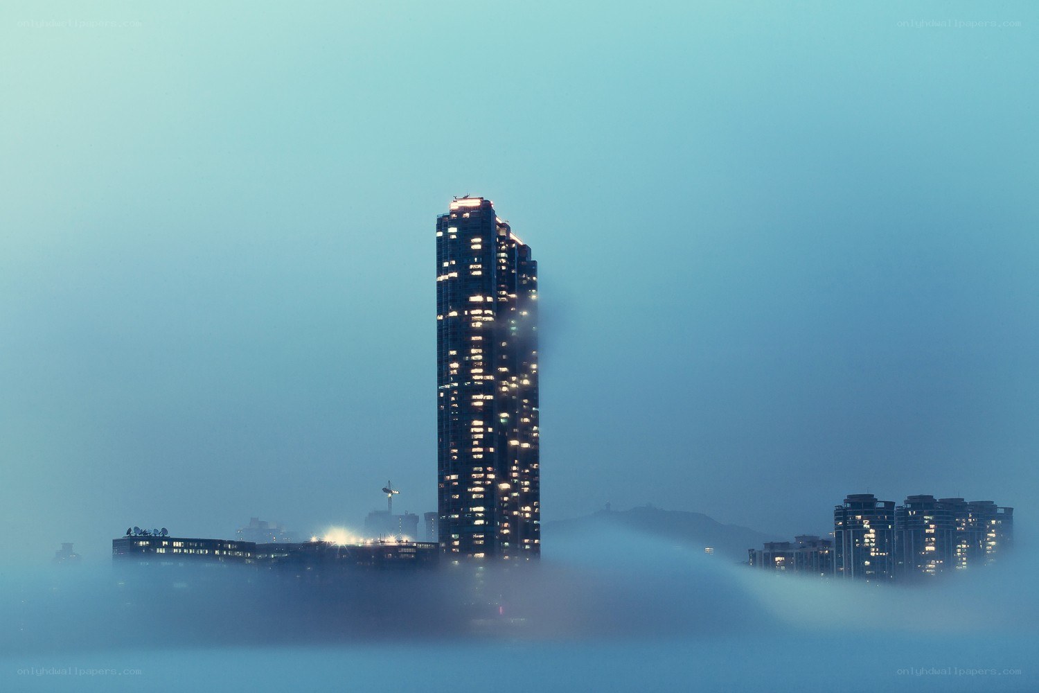 Skyscraper rising from fog