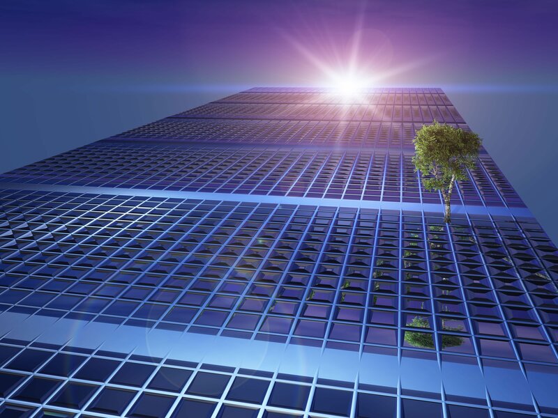 skyscraper with tree and sun