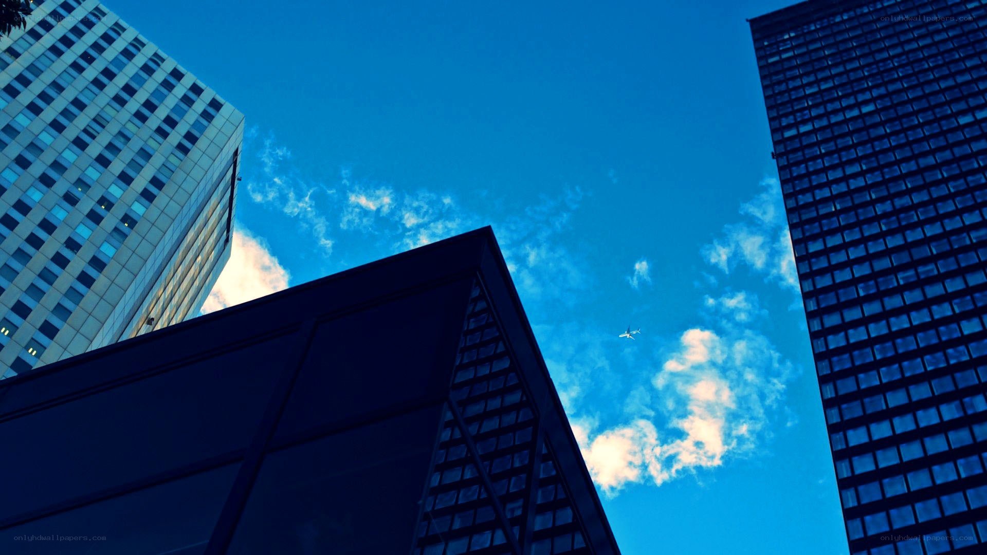 skyscrapers and airplane