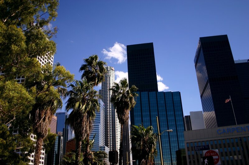 Skyscrapers and Palm Trees — Blue