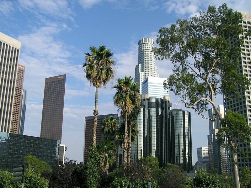 Skyscrapers and Palm Trees