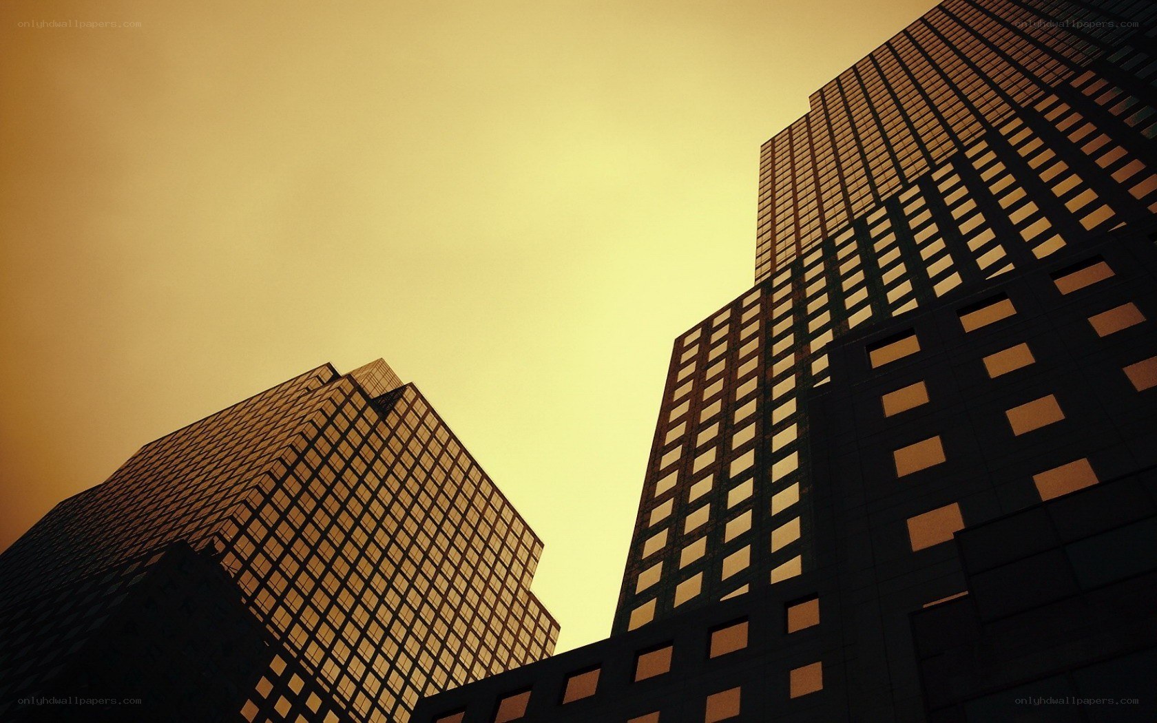 skyscrapers at golden hour