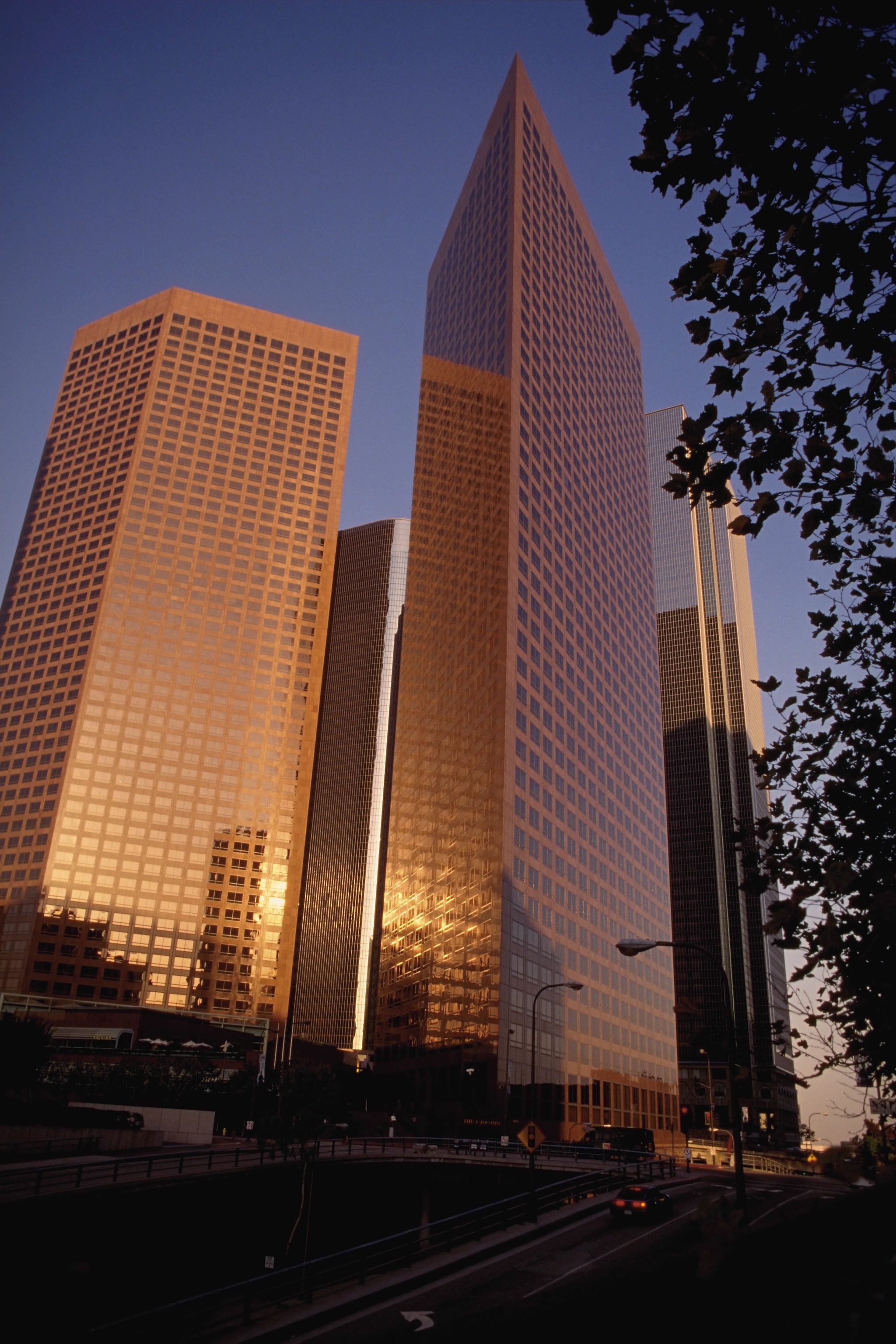 skyscrapers at sunset