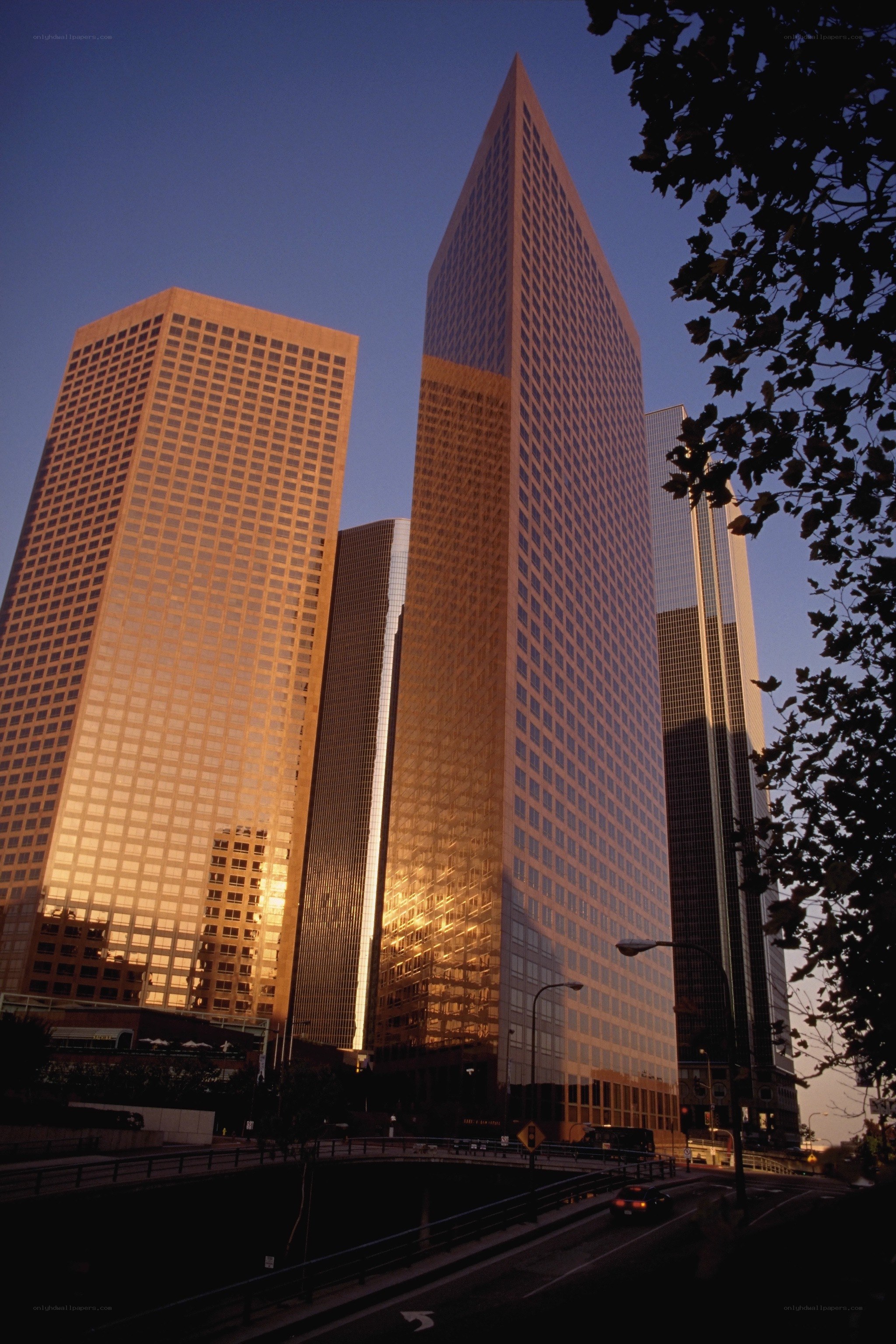 skyscrapers at sunset