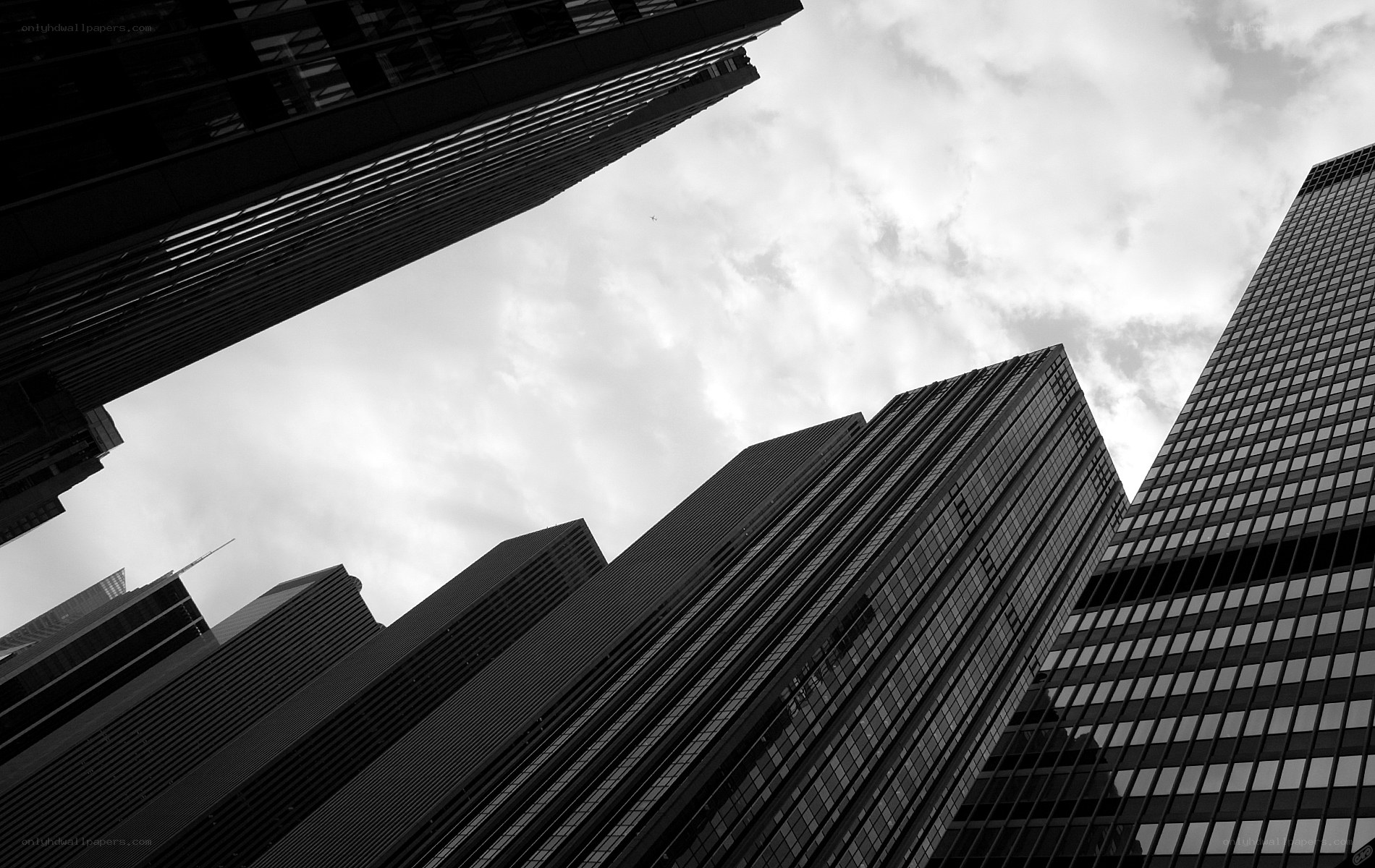 skyscrapers from below