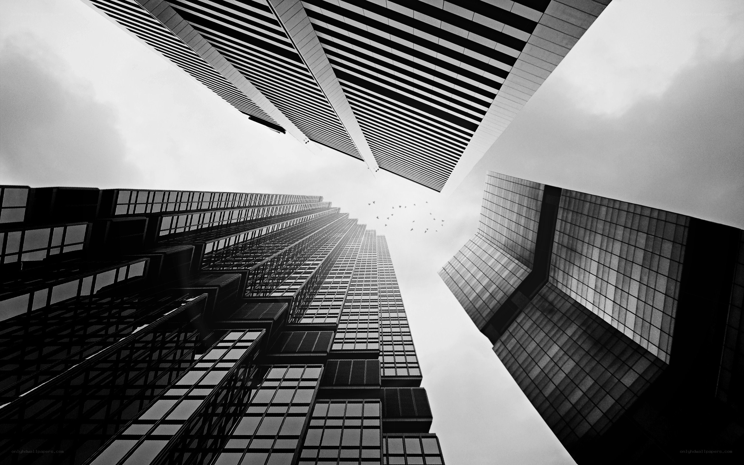skyscrapers from below