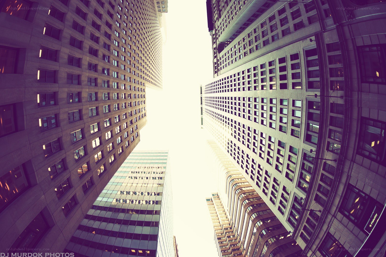 skyscrapers from below