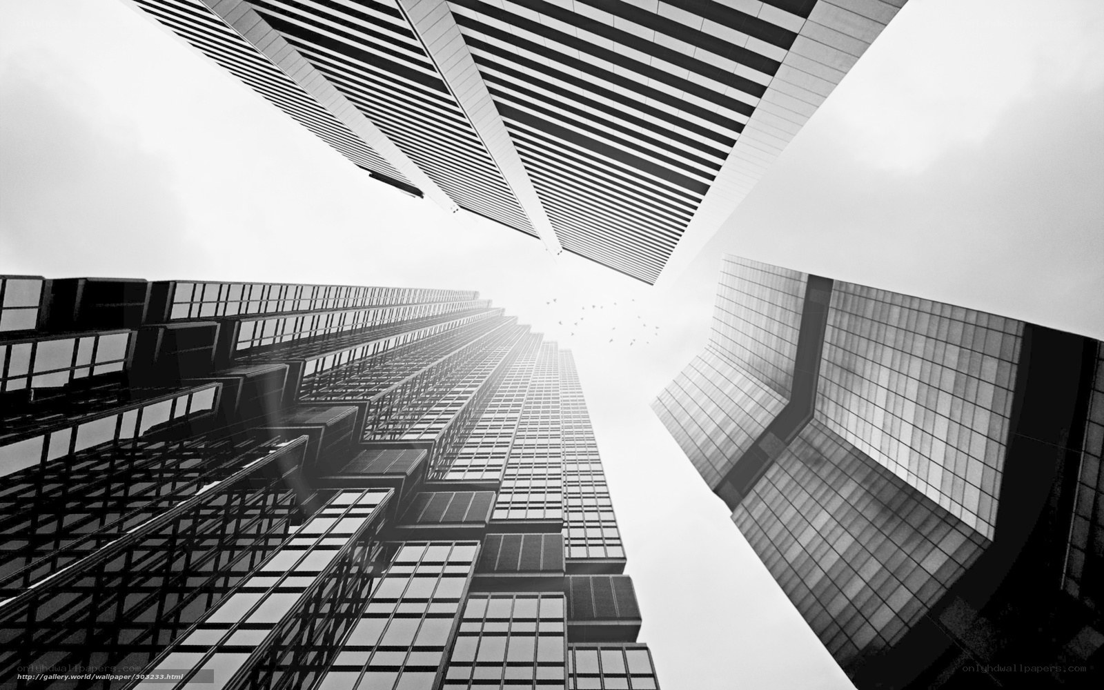 Skyscrapers from below