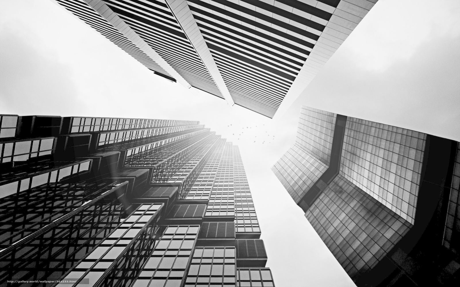 Skyscrapers from below
