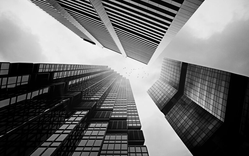 Skyscrapers from Below — Black, Dramatic, Photograph, Birds