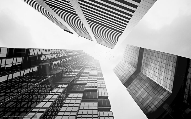 Skyscrapers from Below — Black, Dramatic, Photograph