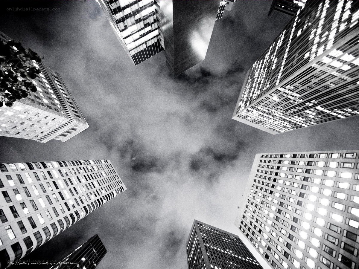 skyscrapers from below
