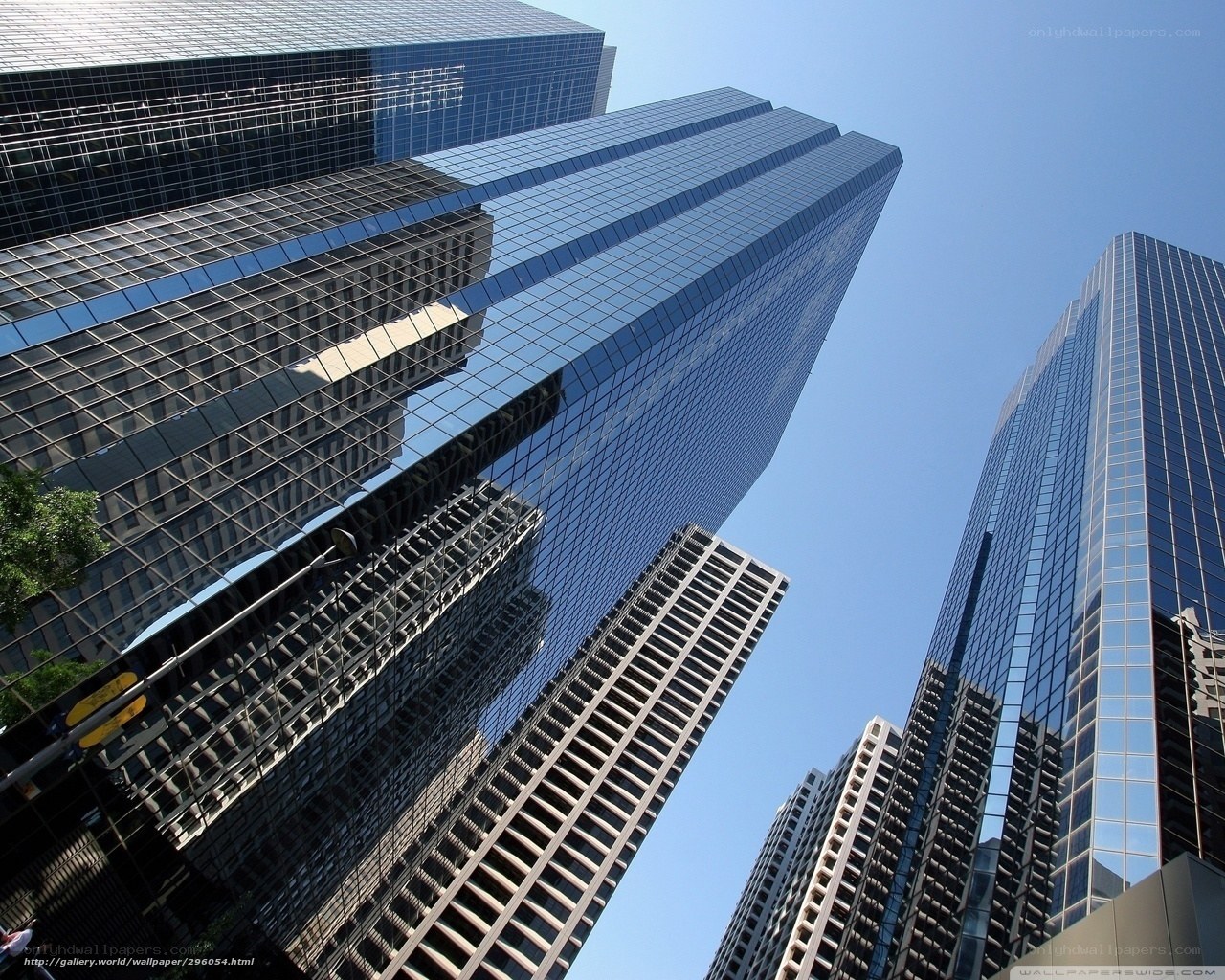skyscrapers in a city