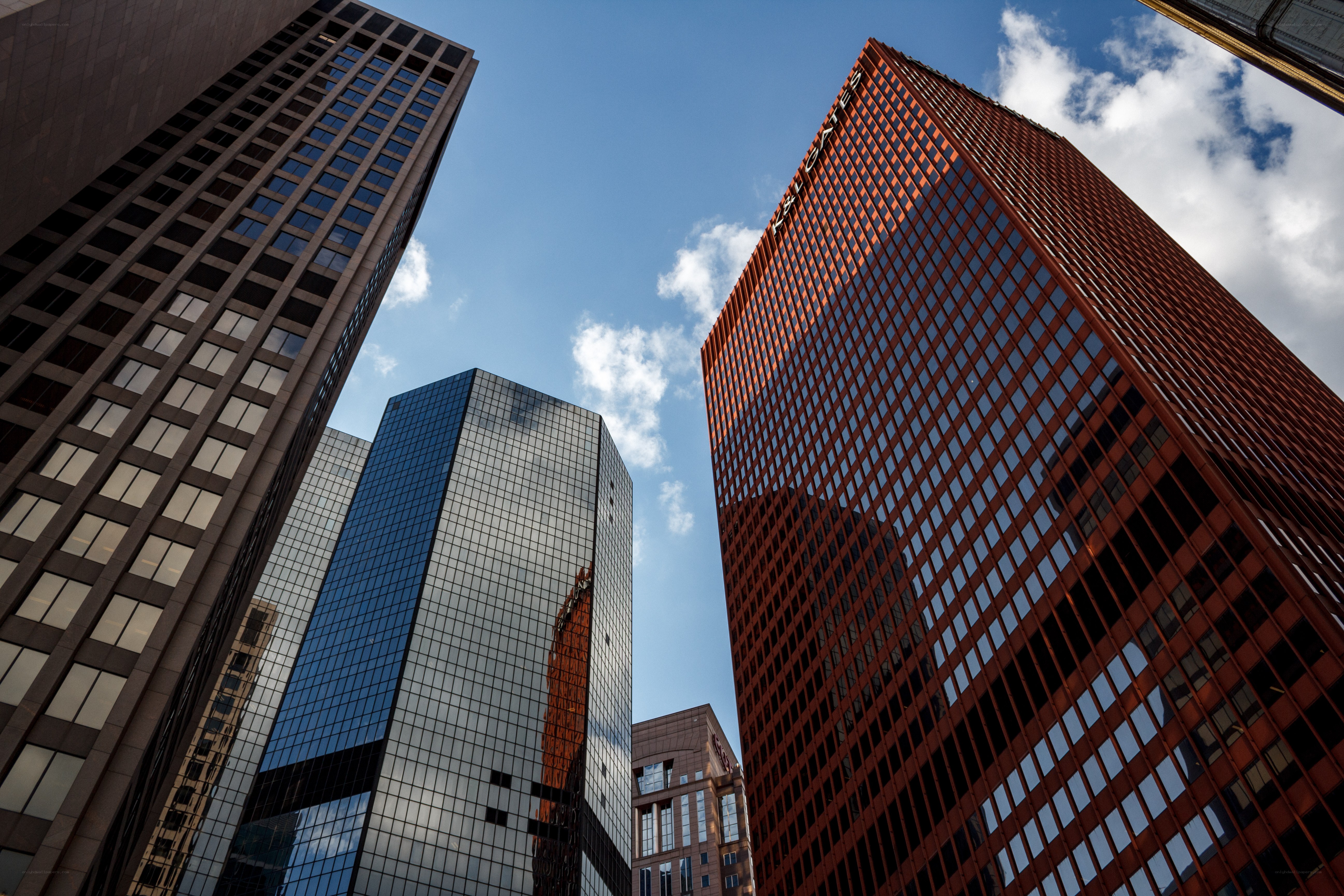 skyscrapers in a city