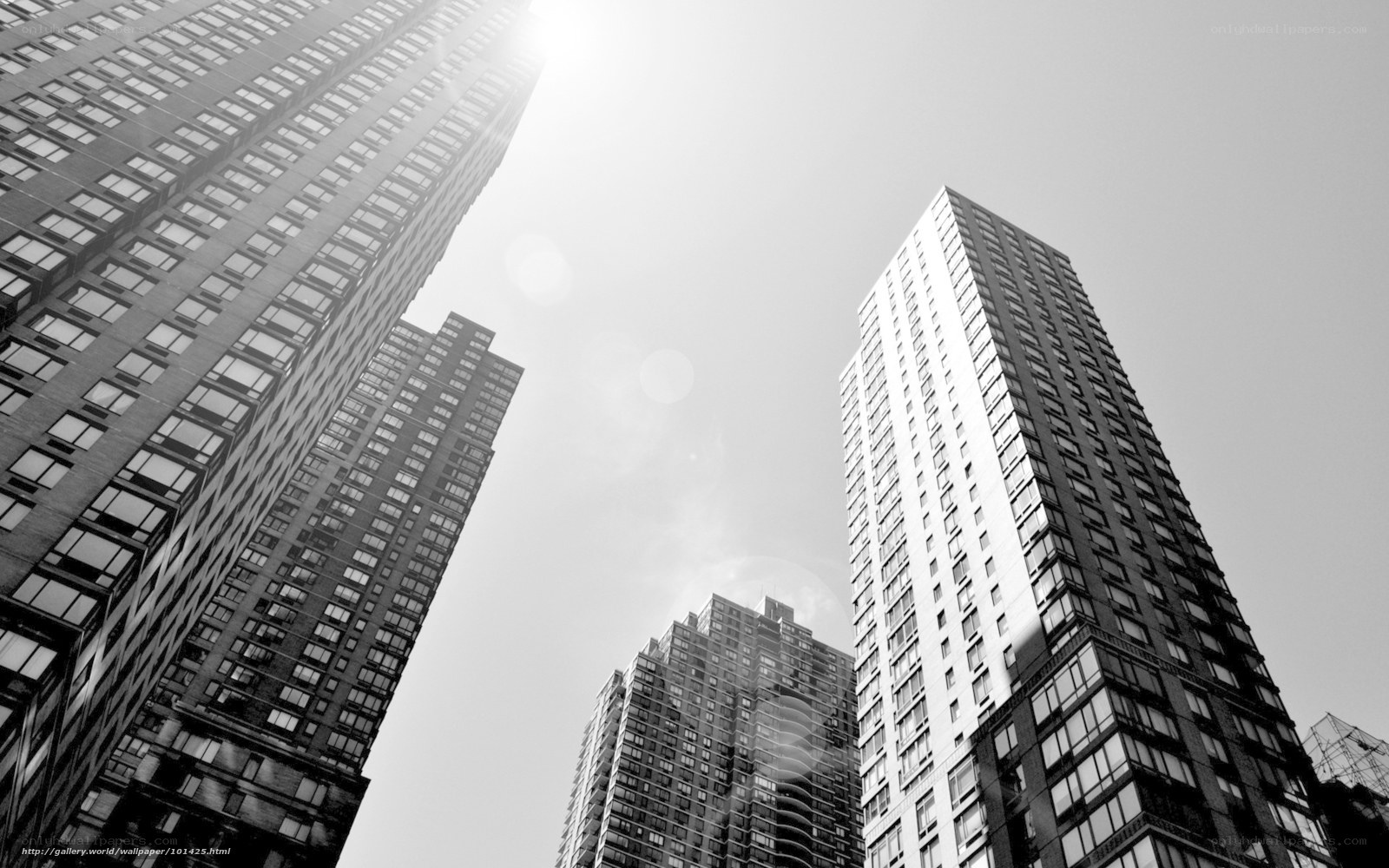 skyscrapers in black and white