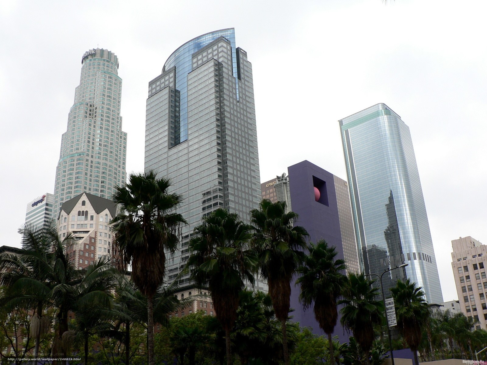 skyscrapers in downtown Los Angeles