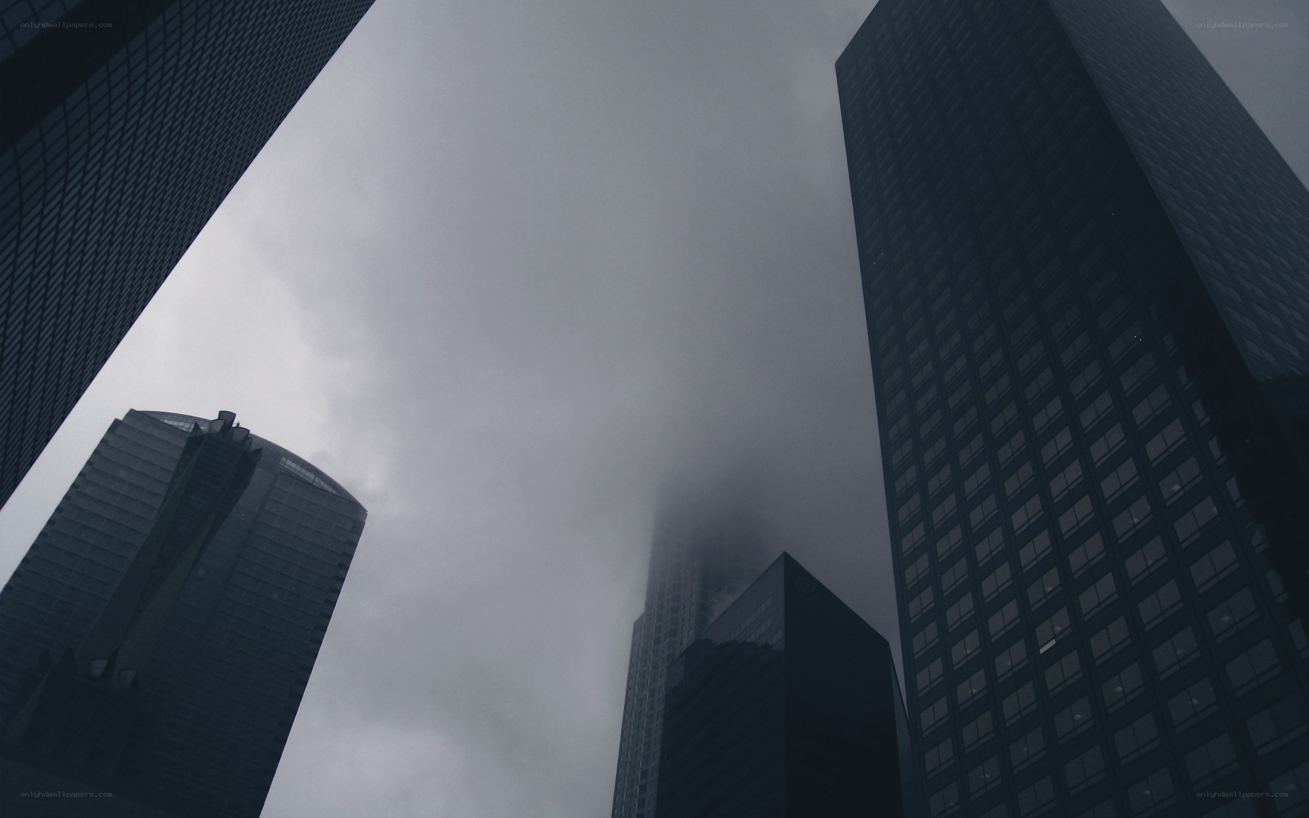skyscrapers in fog