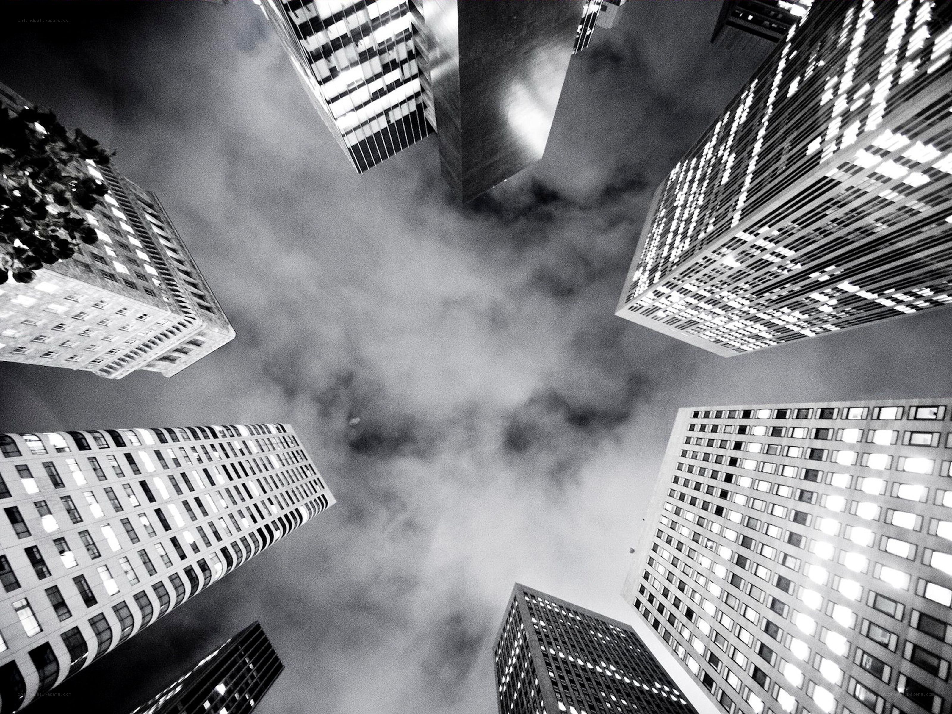 skyscrapers in fog