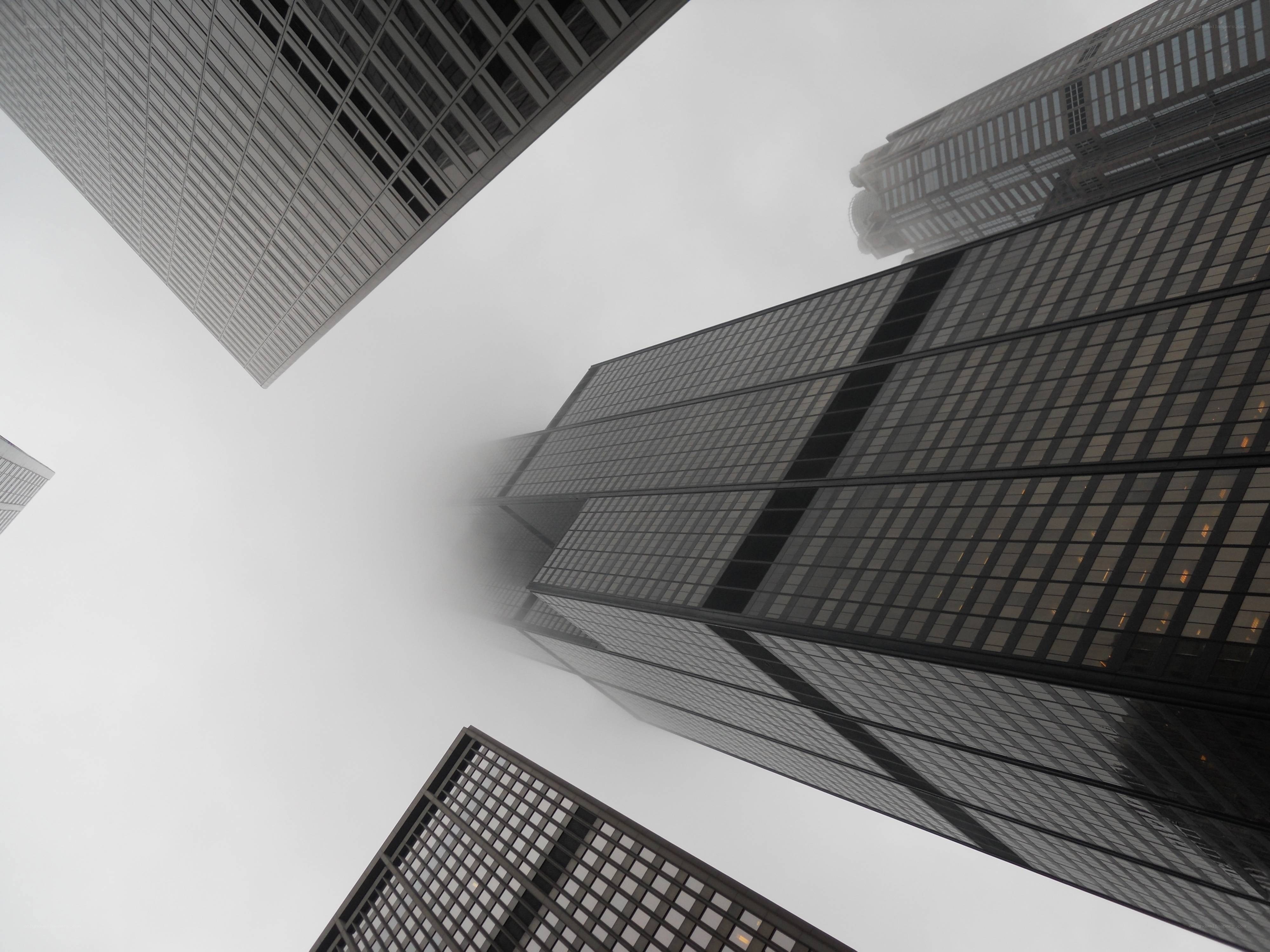 skyscrapers in fog