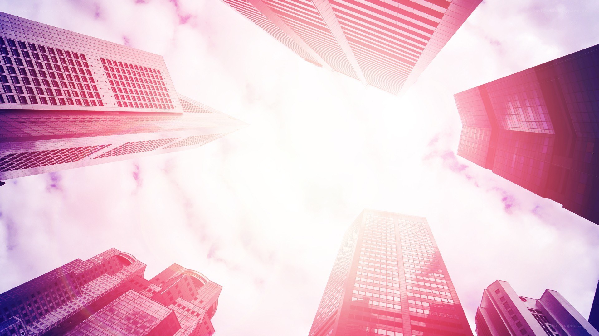 skyscrapers in pink light