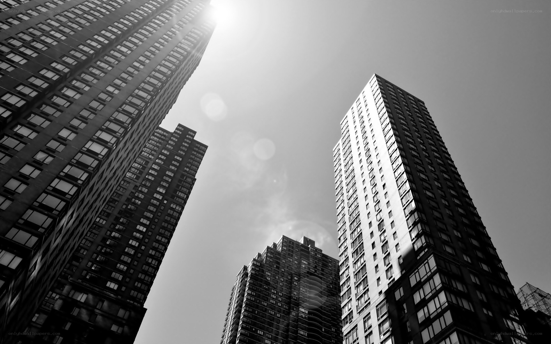 Skyscrapers in the city