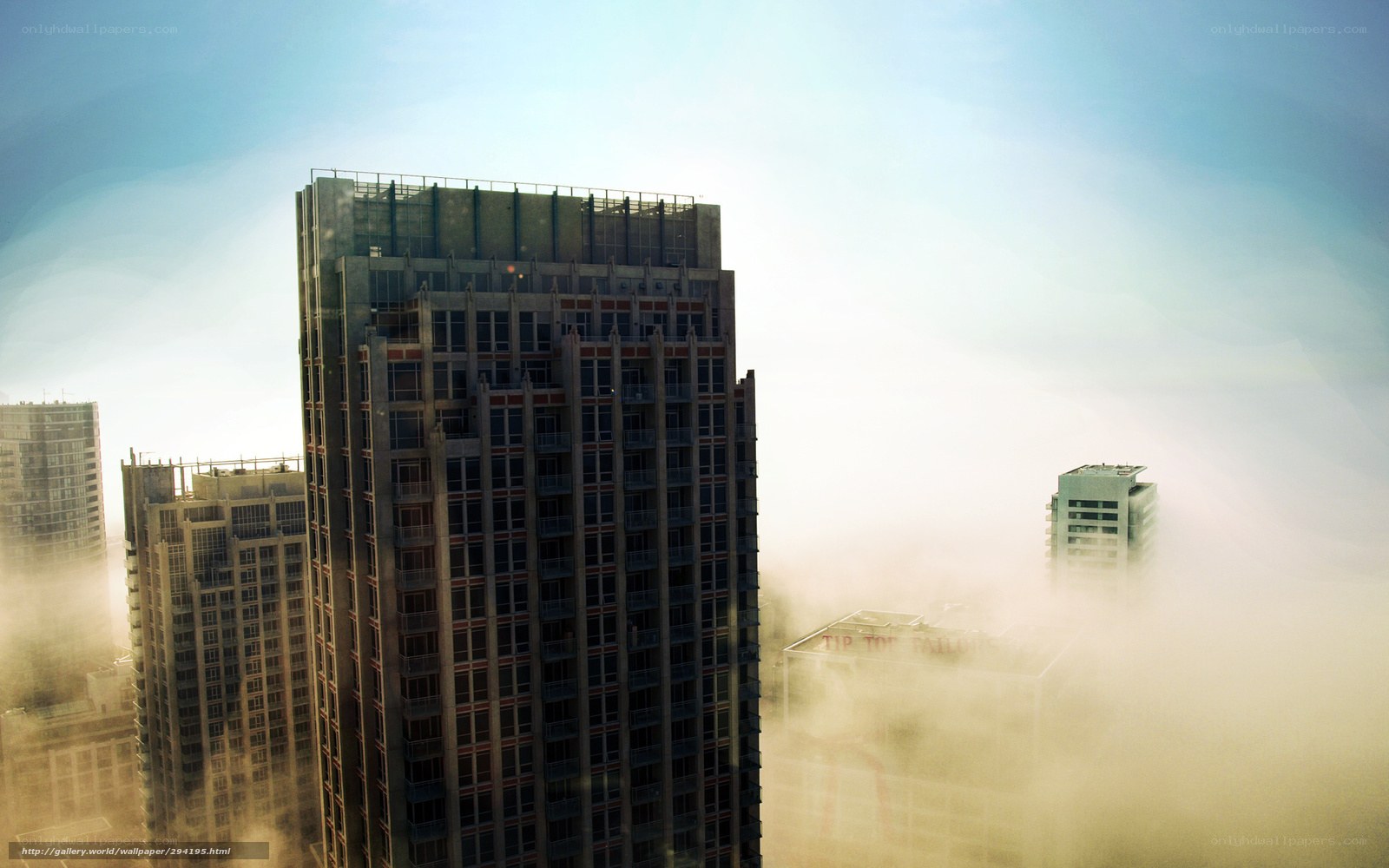 Skyscrapers in the Fog