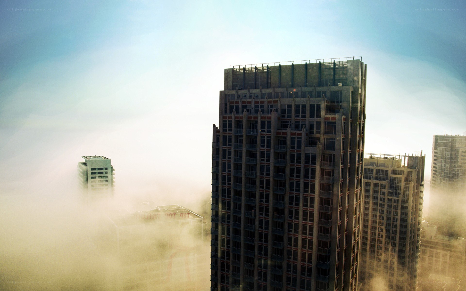 Skyscrapers in the Fog