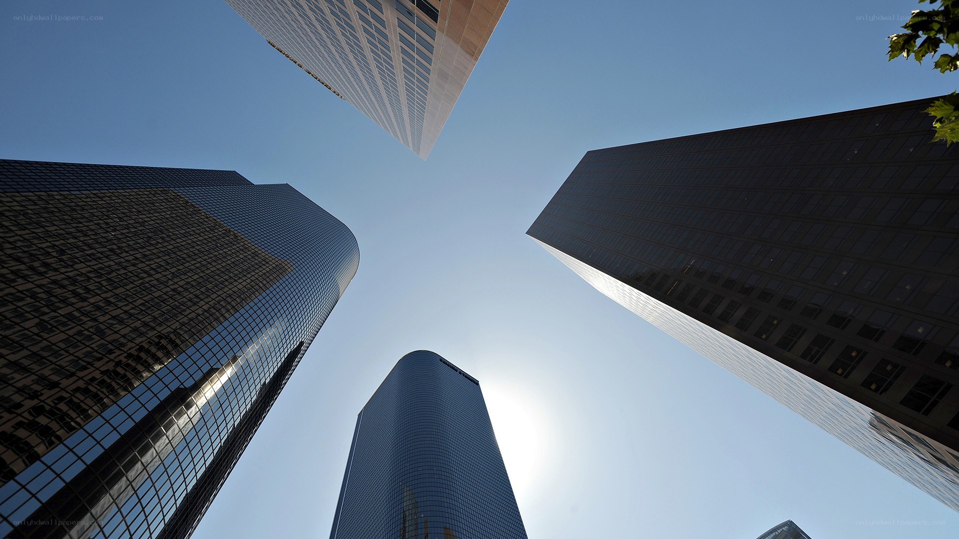 skyscrapers reaching the sky