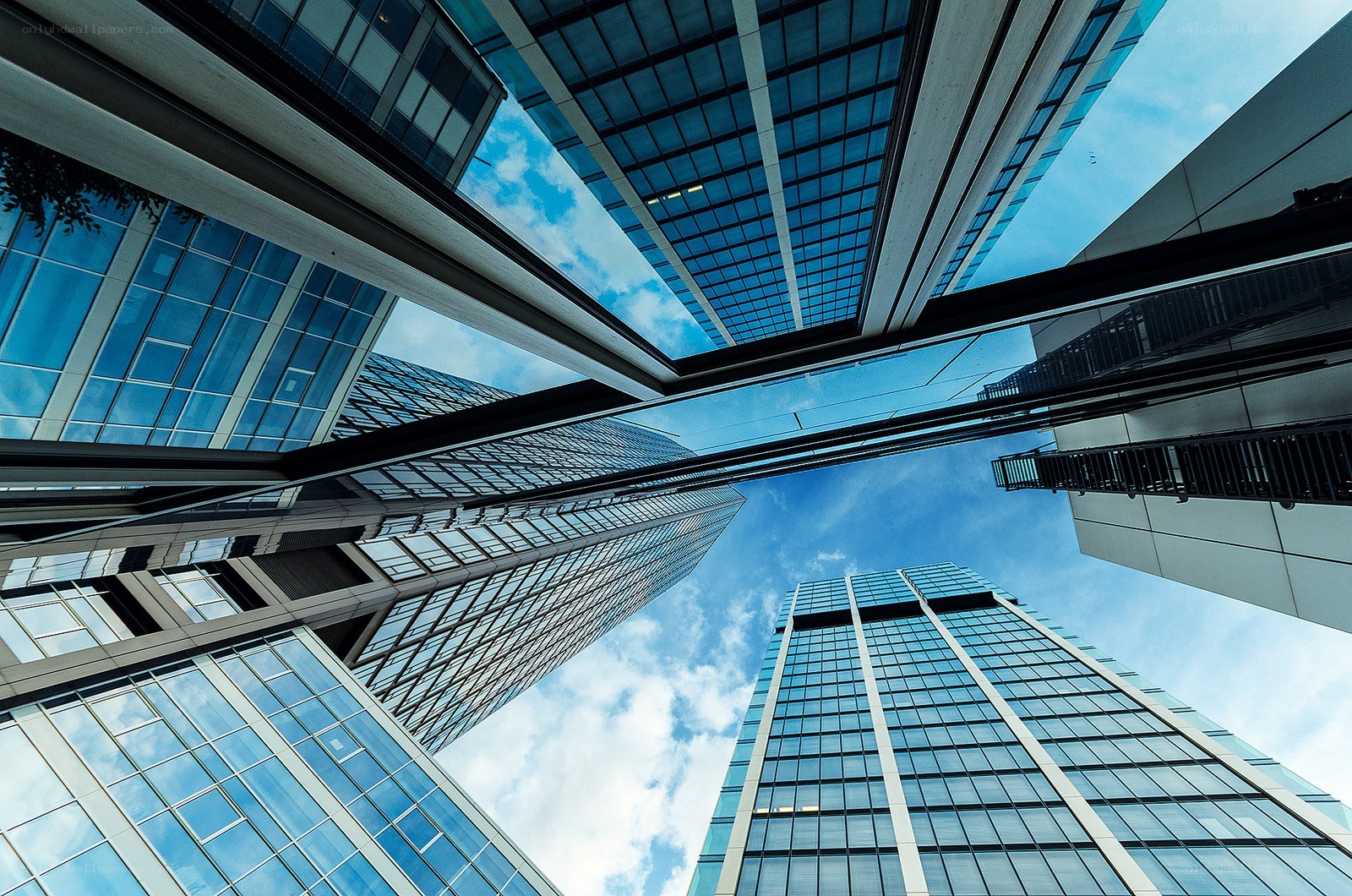 skyscrapers reaching the sky