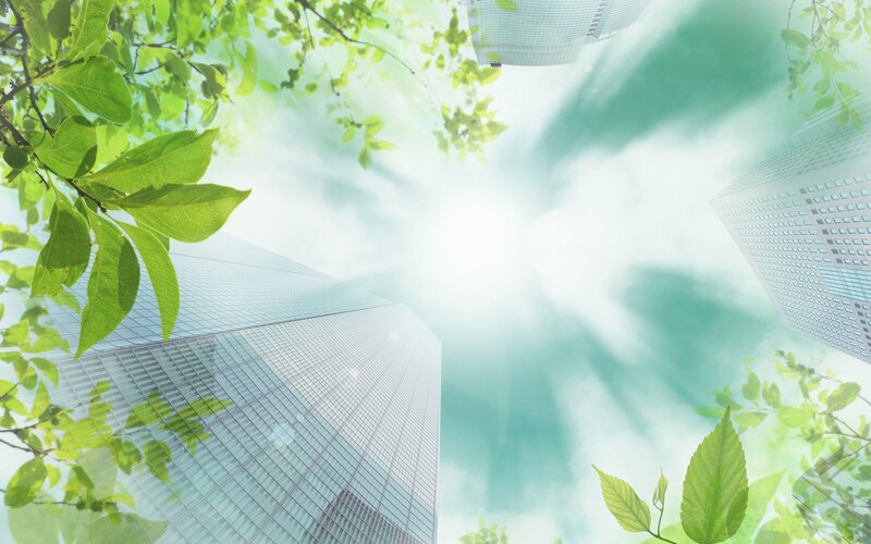 Skyscrapers Through Leaves