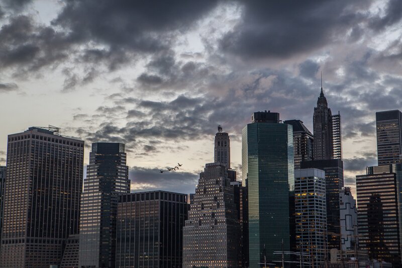 Skyscrapers with Birds