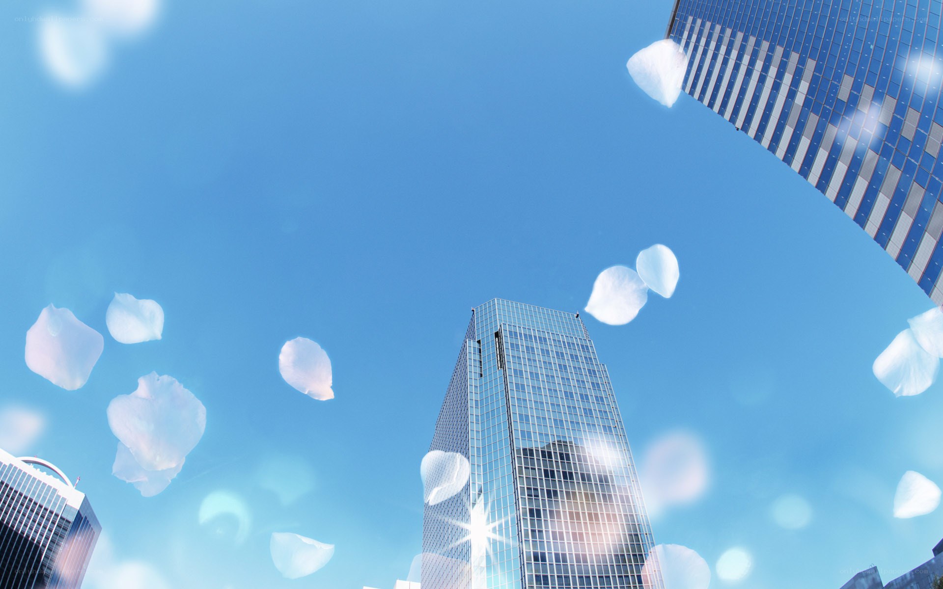 skyscrapers with floating petals