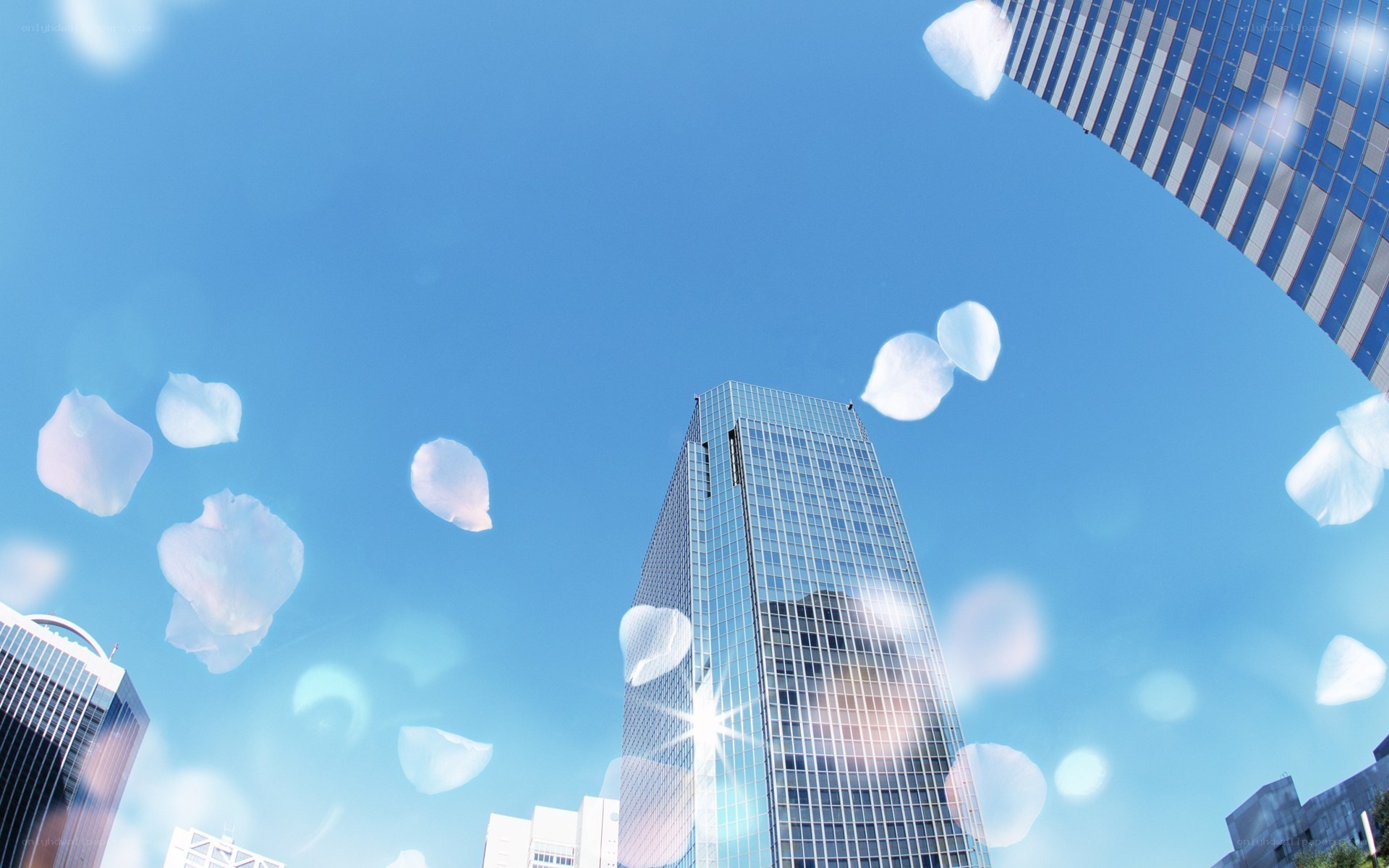 skyscrapers with floating petals