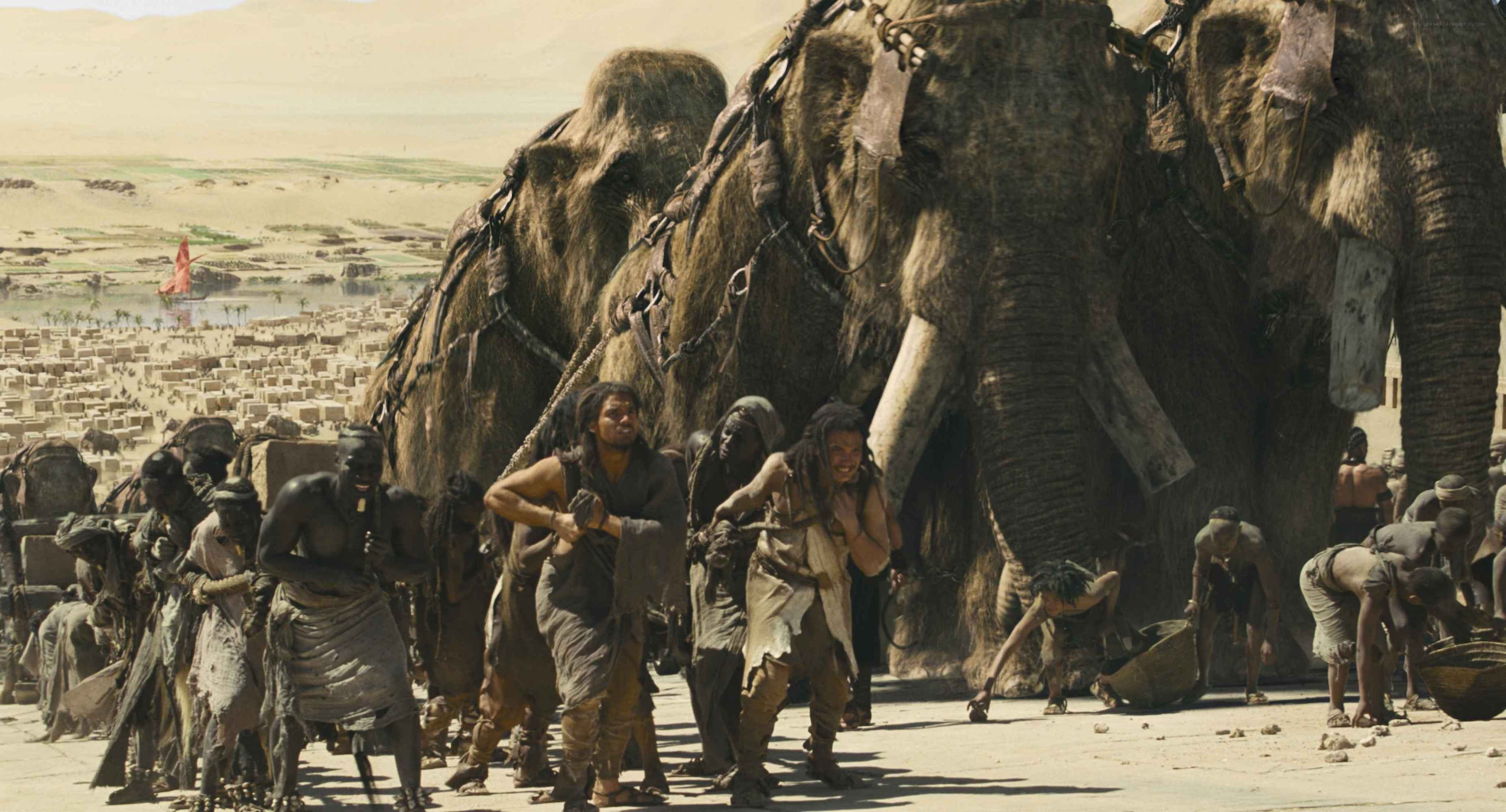 Slaves with elephants in desert