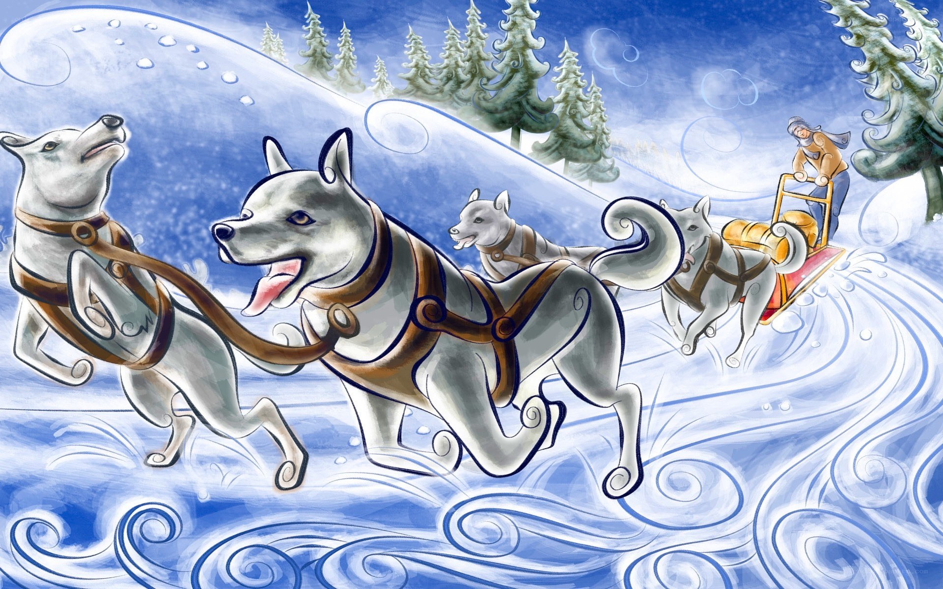 Sled dogs in winter