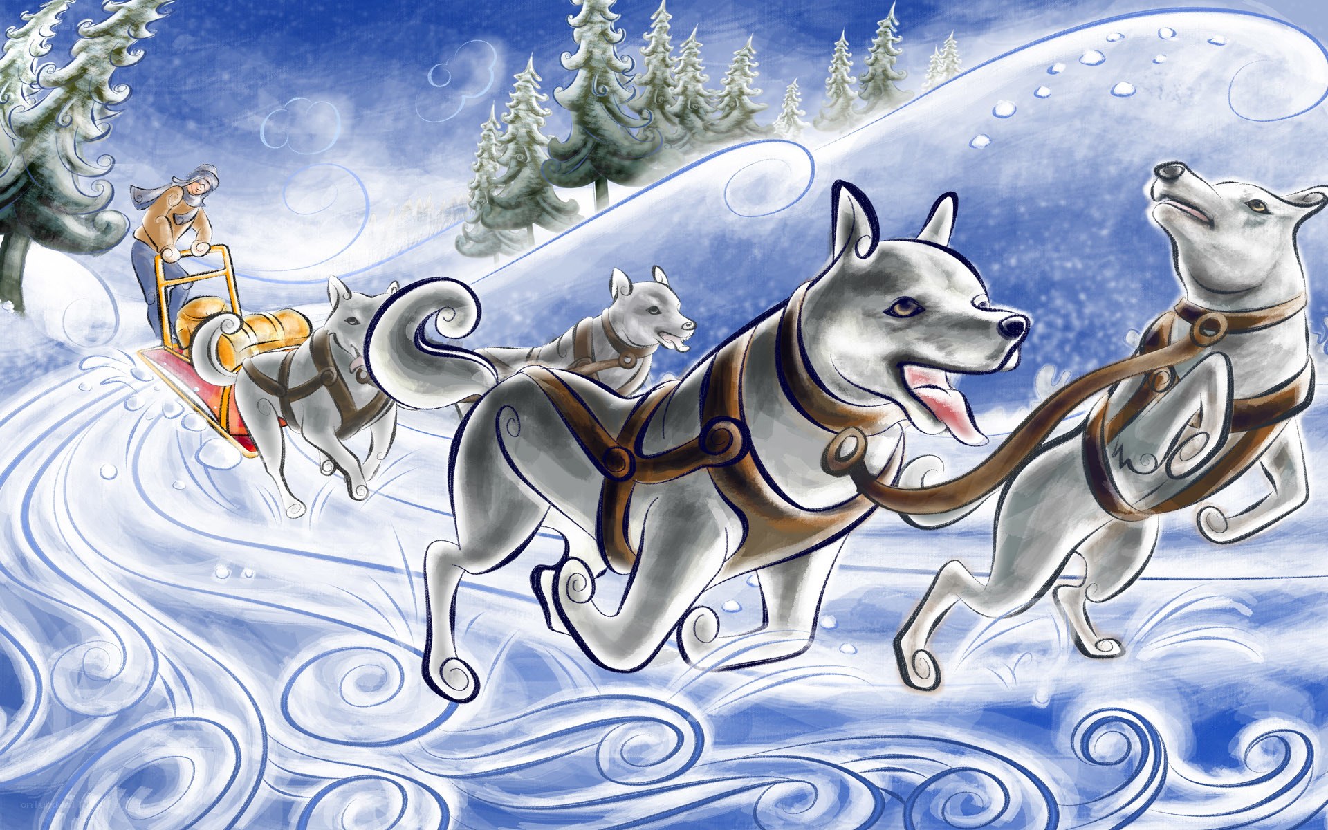 Sled dogs in winter
