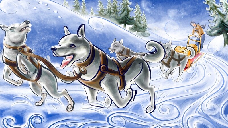 sled dogs in winter