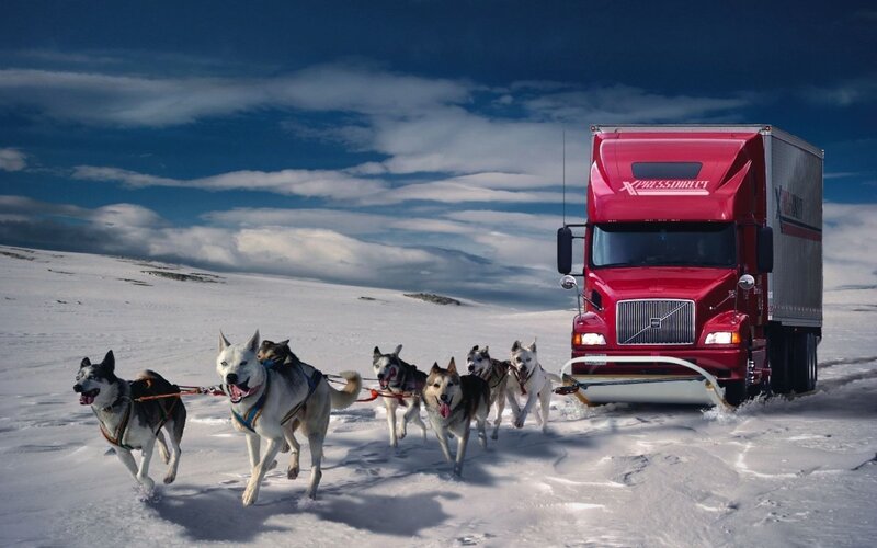 Sled Dogs Pulling Truck — Red, Dramatic