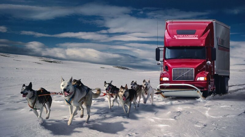 Sled Dogs Pulling Truck — Red, Dramatic, Winter