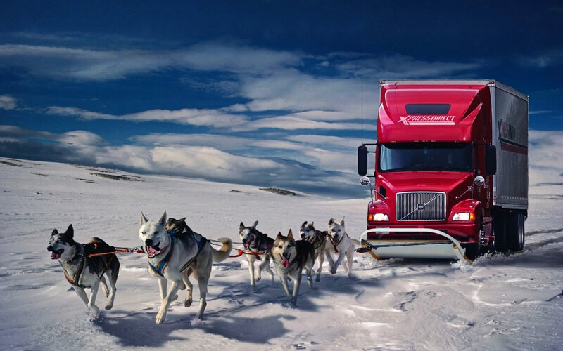 Sled Dogs Pulling Truck