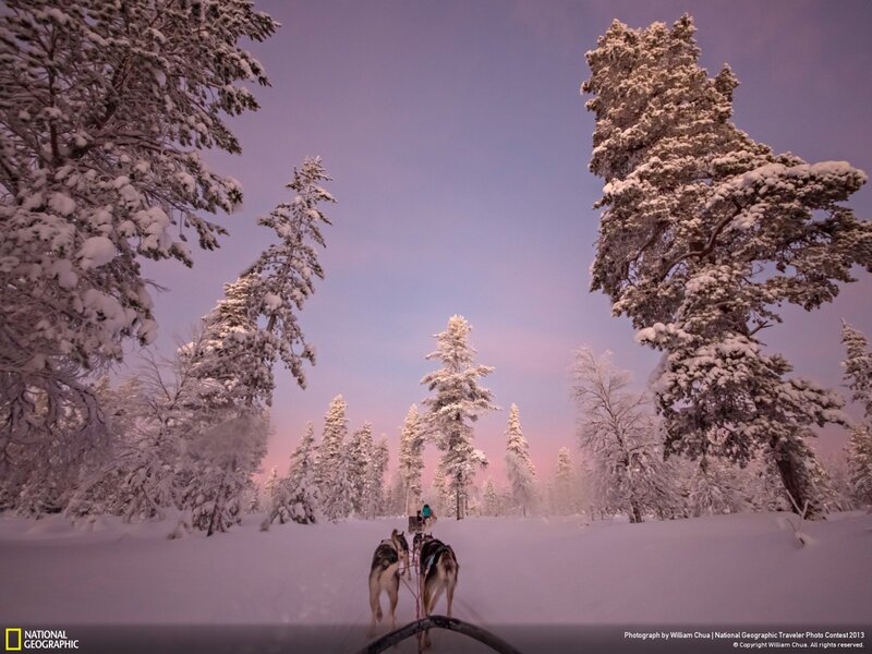 Sledding through snowy forest