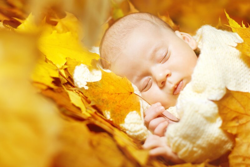 Sleeping Baby in Leaves