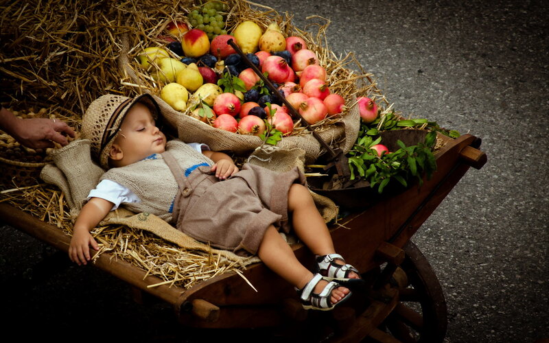 Sleeping Baby in Wheelbarrow