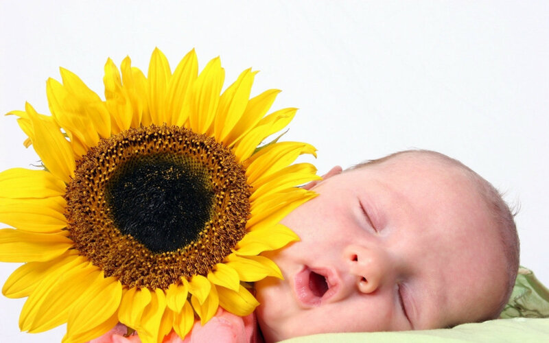Sleeping Baby with Sunflower